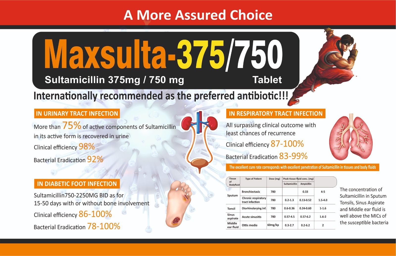 Maxsulta-375/750_2