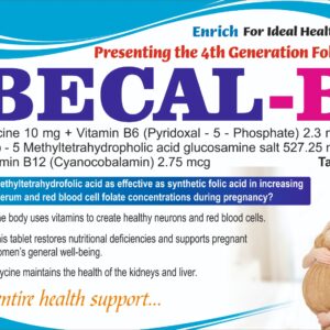 BECAL-B